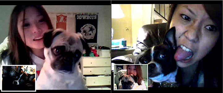 web_domowebcam web_domowebcam