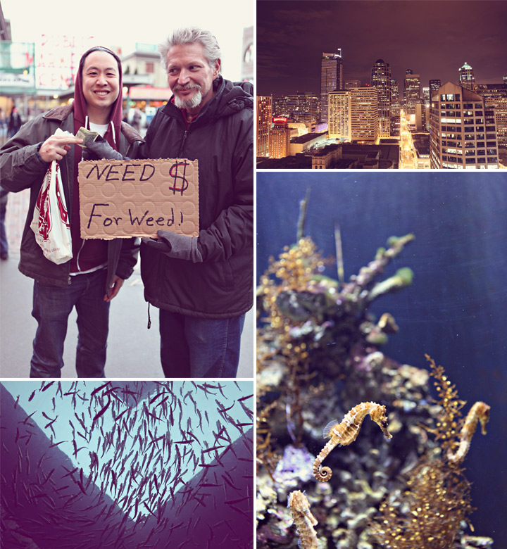 web_seattle_9
