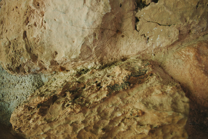 HR_039_0164